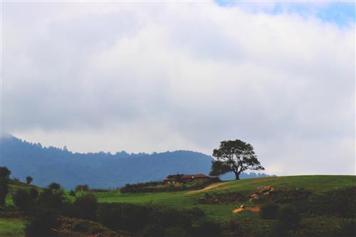 شبکه تصویر ( تصویرنت ) طبیعت ایران_شمال